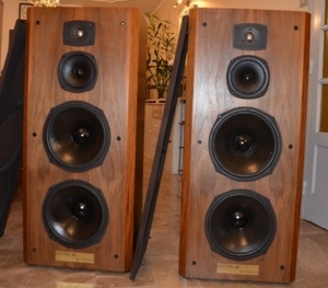 CELESTION(셀레스천) DITTON(디톤) 88