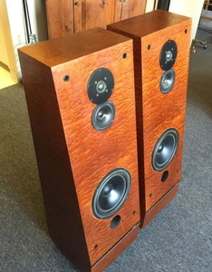 틸(Thiel) CS 2.0