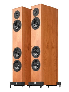 비엔나어쿠스틱(Vinna Acoustics) 베토벤(Beethoven) 베이비(Baby) 그랜드(Grand) 톨보이 스피커