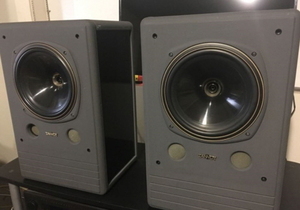 탄노이(Tannoy) DMT 10MK2 메인 스피커