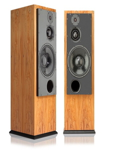 ATC(에이티씨) SCM 100SLT