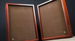 JBL(제이비엘) C31 