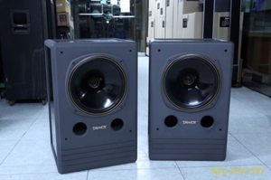 탄노이(Tannoy) DMT 12MK2 메인 스피커
