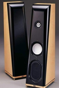 틸(Thiel) CS 2.4