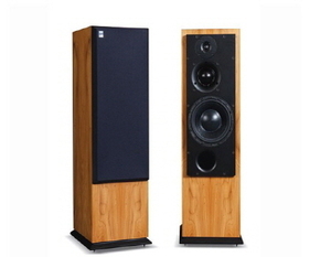 ATC(에이티씨) SCM 50PSLT