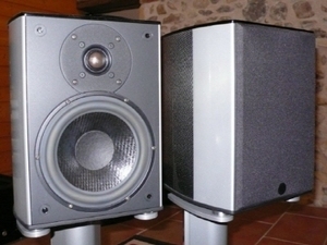 윌슨 베네시(Wilson benesch) 아크(Arc)