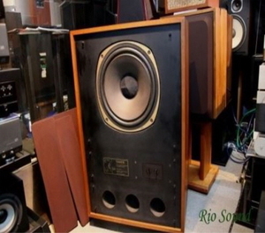 탄노이(Tannoy) 아덴(Arden) 386 페라이트 버전 오리지날 케이스
