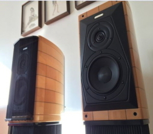 소너스파베르(Sonus Faber) 과르네리(Guarneri)  팔라디오(Palladio) Nr.100