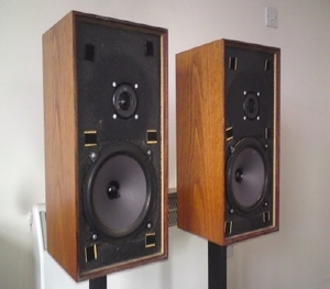 CELESTION(셀레스천) 카운티