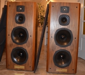 CELESTION(셀레스천) DITTON(디톤) 88