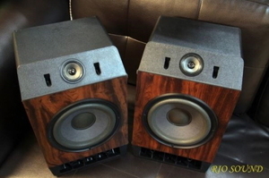 보스(Bose) 301-4 북쉘프 스피커