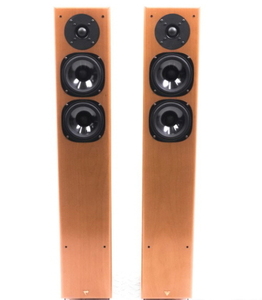 비엔나어쿠스틱(Vinna Acoustics) 모차르트(Mozart) 톨보이 스피커 